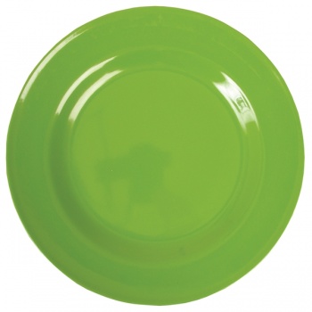 Melamine Dinner Plate in Apple Green